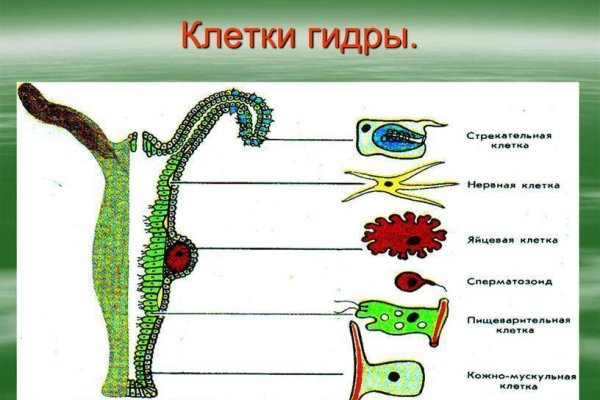 Как открыть ссылку с кракена