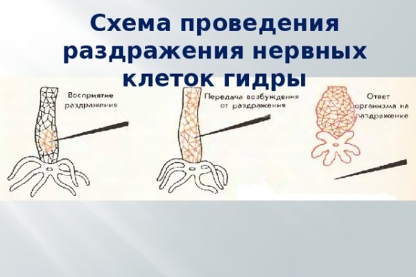 Кракен сайт kr2web in зеркало рабочее